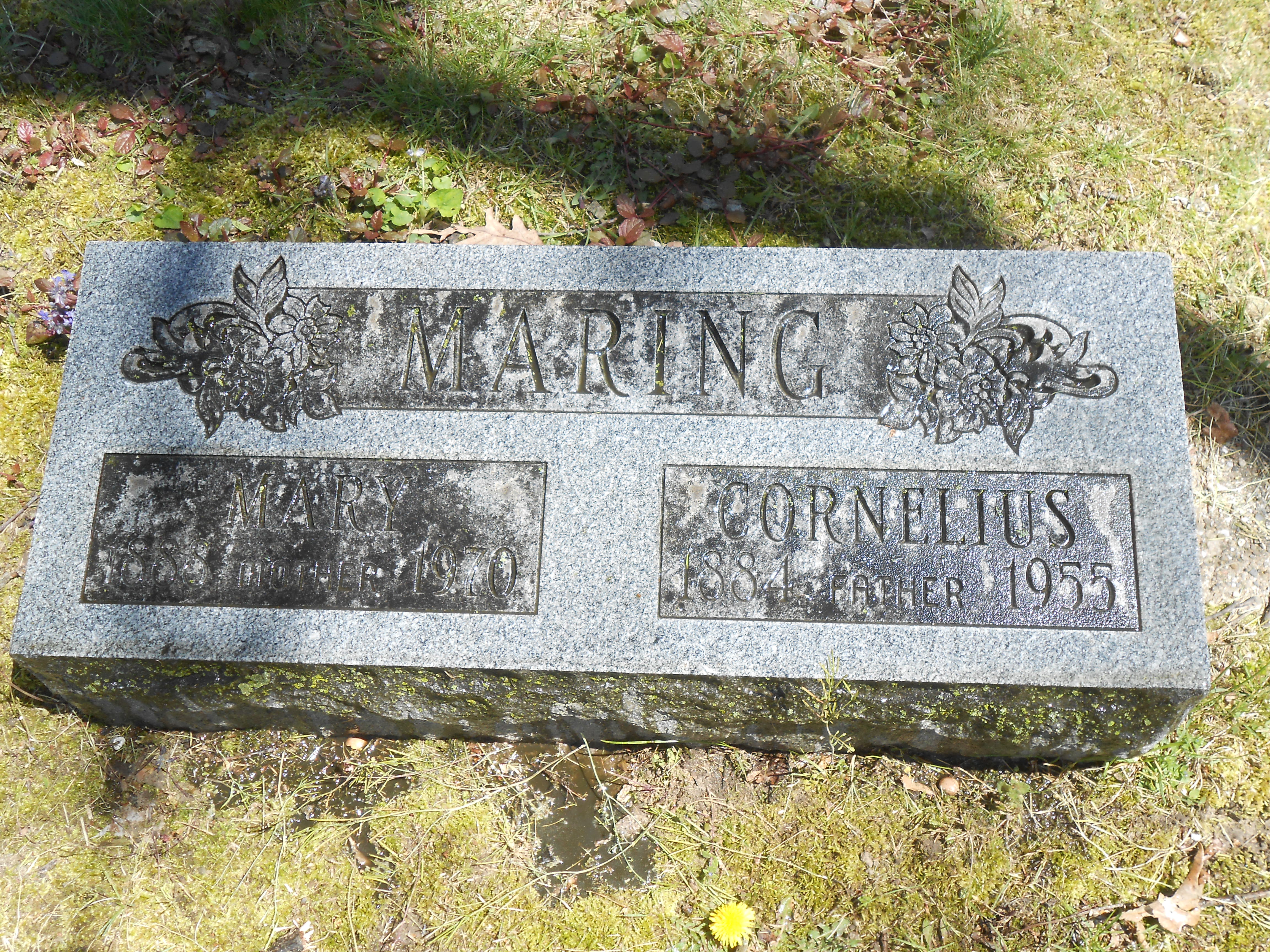 grafsteen cornelius maring op 26 jun 2014.